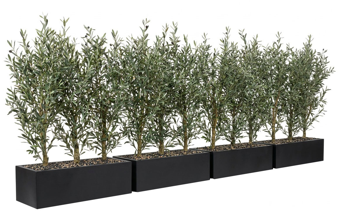 Trough Planters- with UV Olive Trees 1.4m tall 