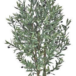 Olive Tree- UV 1.6m  - artificial plants, flowers & trees - image 2