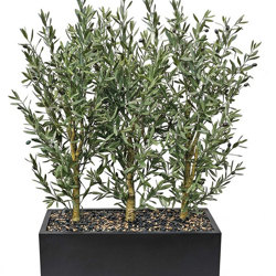 Trough Planters- with UV Olive Trees 1.4m tall  - artificial plants, flowers & trees - image 1