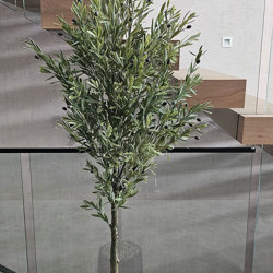 Olive Tree- UV 1.8m - artificial plants, flowers & trees - image 6