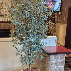 Olive Tree- deluxe 2.1m  - artificial plants, flowers & trees - image 1