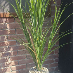 Planters- Duffle Pot small - black  - artificial plants, flowers & trees - image 4