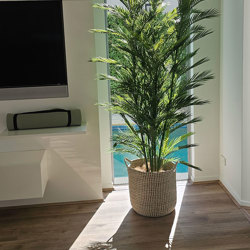Parlour Palm UV 2.1m - artificial plants, flowers & trees - image 1