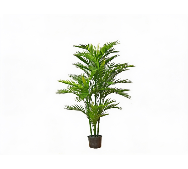 Parlour Palm UV 1.3m