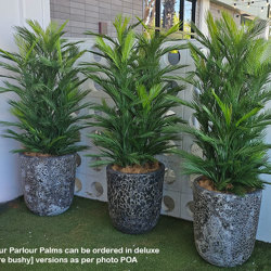Parlour Palm UV 2.1m - artificial plants, flowers & trees - image 6