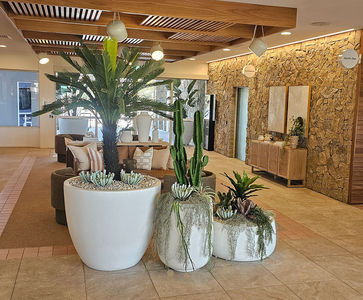 Grouping of Cactus Planters