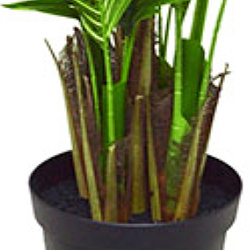 Phoenix Palm 2.1m  - artificial plants, flowers & trees - image 2
