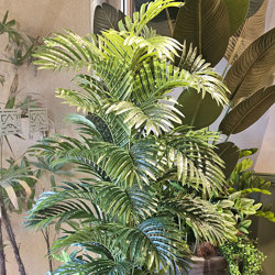 Phoenix Palm 1.5m  - artificial plants, flowers & trees - image 1