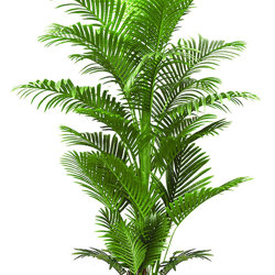 Phoenix Palm 2.1m  - artificial plants, flowers & trees - image 5
