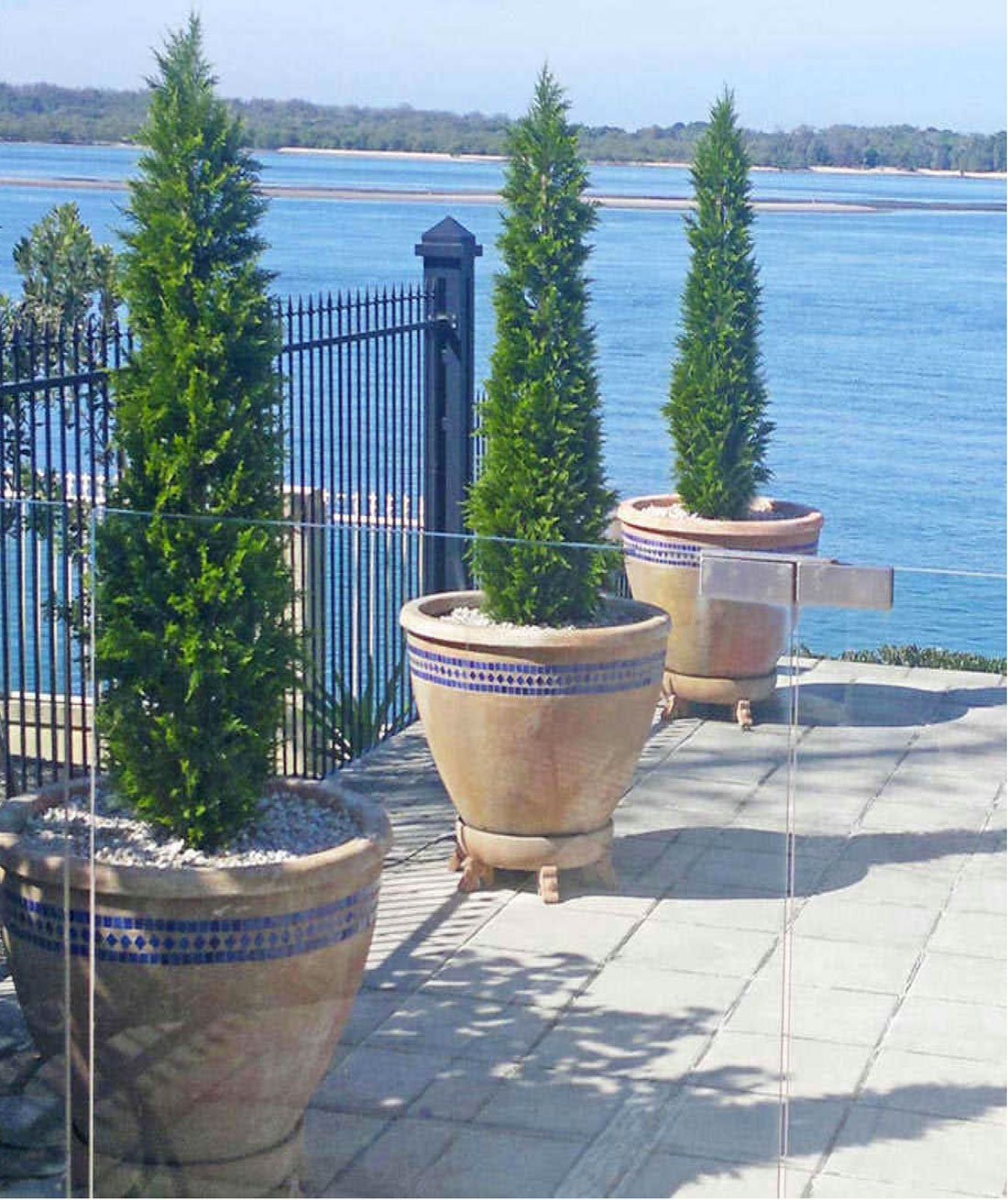 Cypress Pine UV 1.8m 
