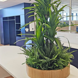 Happy Plant 1.8m triple - artificial plants, flowers & trees - image 7