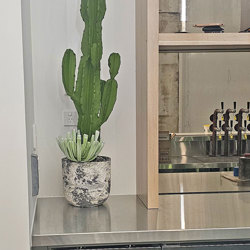 Cactii- San Pedro Cactus 1.2m - artificial plants, flowers & trees - image 2