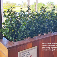 Country Club needed green interior to match exterior setting... poplet image 7