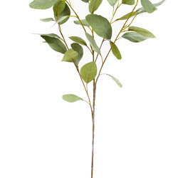 Leaf Sprays- Silver Gums - artificial plants, flowers & trees - image 2