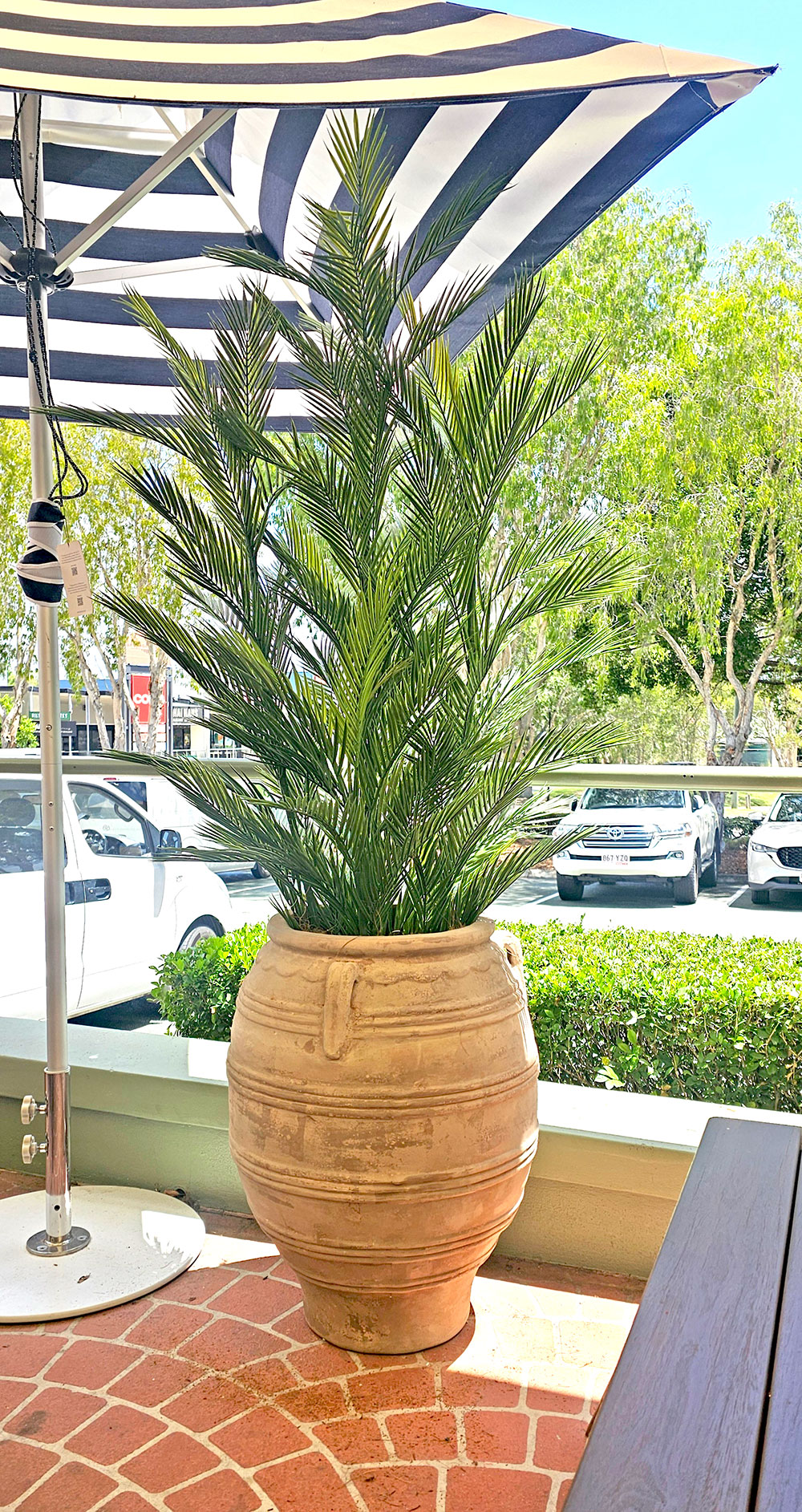 Parlour Palm UV 1.9m