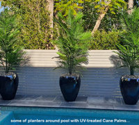 Residential eyesore becomes instant stunning Garden feature...