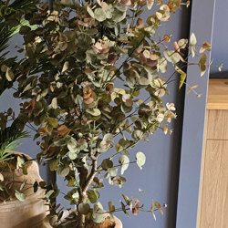 Eucalyptus 'Sweet Gum' 1.8m - artificial plants, flowers & trees - image 2