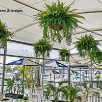 famous Yacht Club catches a cool-green breeze... poplet image 10