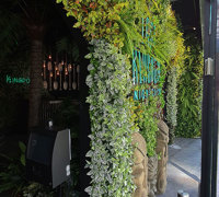 Nightclub goes "Jungle-Look"...