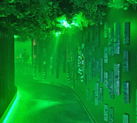 Nightclub goes "Jungle-Look"...