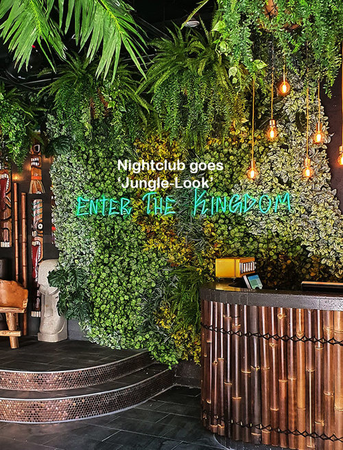 Nightclub goes "Jungle-Look"...