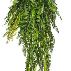 Fish-bone Fern- trailing UV  - artificial plants, flowers & trees - image 1