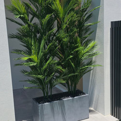 Trough Planters- with UV Parlour Palms 1.6m - artificial plants, flowers & trees - image 8