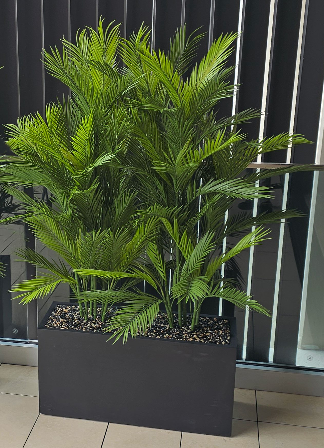 Trough Planters- with UV Parlour Palms 1.6m
