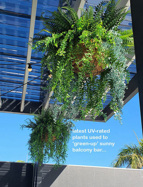 Club 'greens-up' sunny Balcony Bar with latest UV-rated artificial plants...