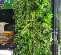 Club 'greens-up' sunny Balcony Bar with latest UV-rated artificial plants...