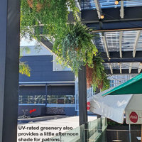 Club 'greens-up' sunny Balcony Bar with latest UV-rated artificial plants... poplet image 3