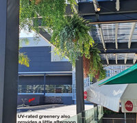Club 'greens-up' sunny Balcony Bar with latest UV-rated artificial plants...