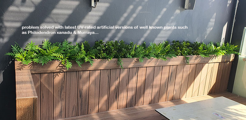 Club 'greens-up' sunny Balcony Bar with latest UV-rated artificial plants... image 6