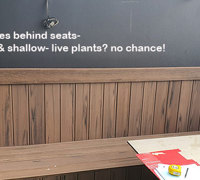 Club 'greens-up' sunny Balcony Bar with latest UV-rated artificial plants...