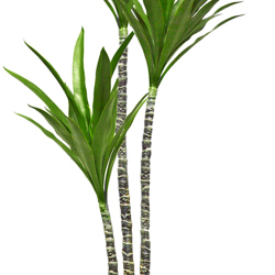 Yucca Tree- 1.8m with 3 heads - artificial plants, flowers & trees - image 3