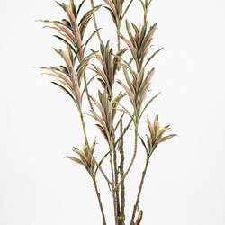 Yucca- 'pink slipper' 2m with 15 heads - artificial plants, flowers & trees - image 5
