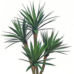 Agave- Spikey Agave Plant UV 1.3m with 4 heads  - artificial plants, flowers & trees - image 1