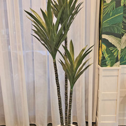 Yucca Tree- 1.8m with 3 heads - artificial plants, flowers & trees - image 1