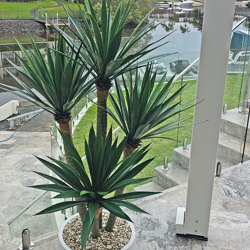 Agave- Spikey Agave Plant UV 1.3m with 4 heads  - artificial plants, flowers & trees - image 2