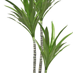Yucca Tree- 1.6m with 3 heads - artificial plants, flowers & trees - image 1