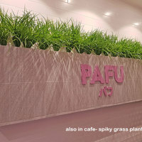Cafe uses artificial green-vines for privacy screens & pergolas poplet image 4