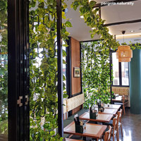 Cafe uses artificial green-vines for privacy screens & pergolas poplet image 1