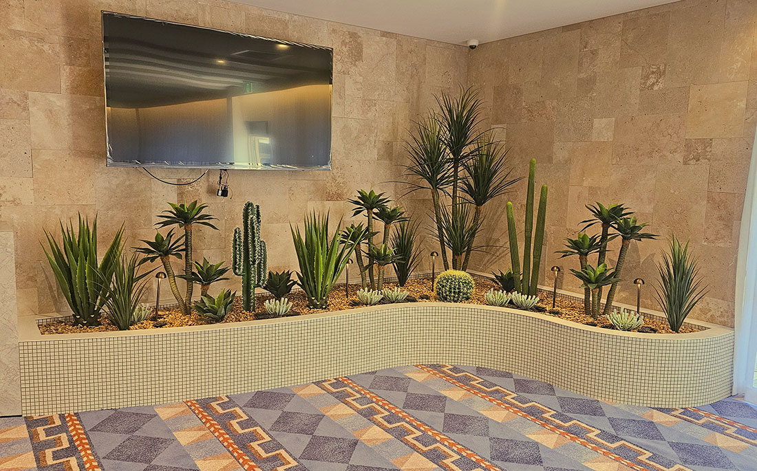 Cactii garden is striking