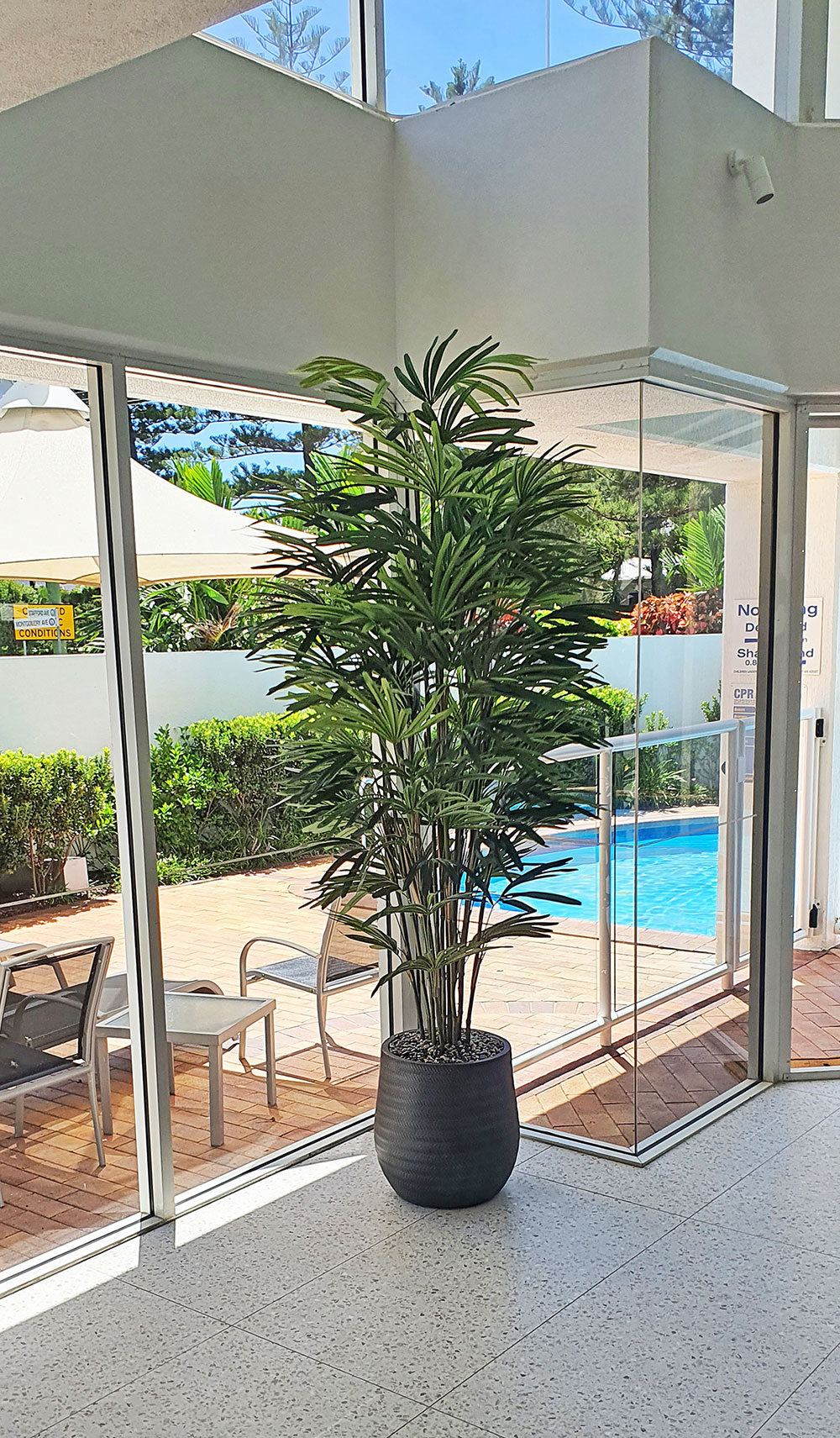 Elegant Palm in tall planter in Appartment Foyer
