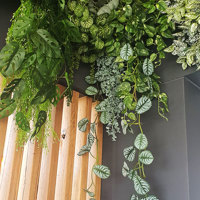 Very latest artificial greenery ideas used to lift Shopping Cnt Dining Precinct... poplet image 9