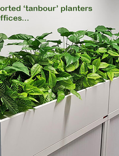 Office 'tambour' Planters...