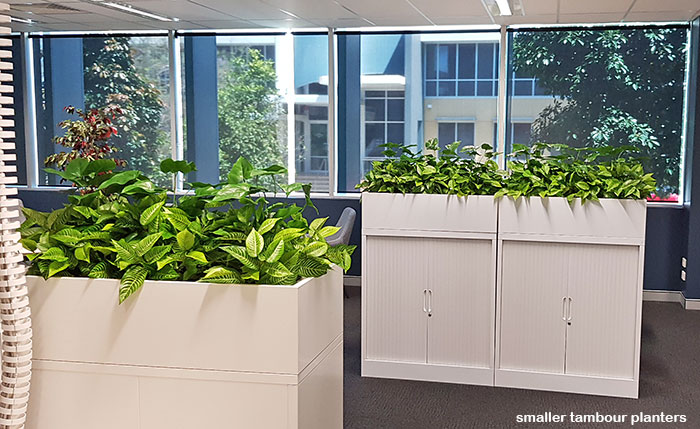 Office 'tambour' Planters... image 3