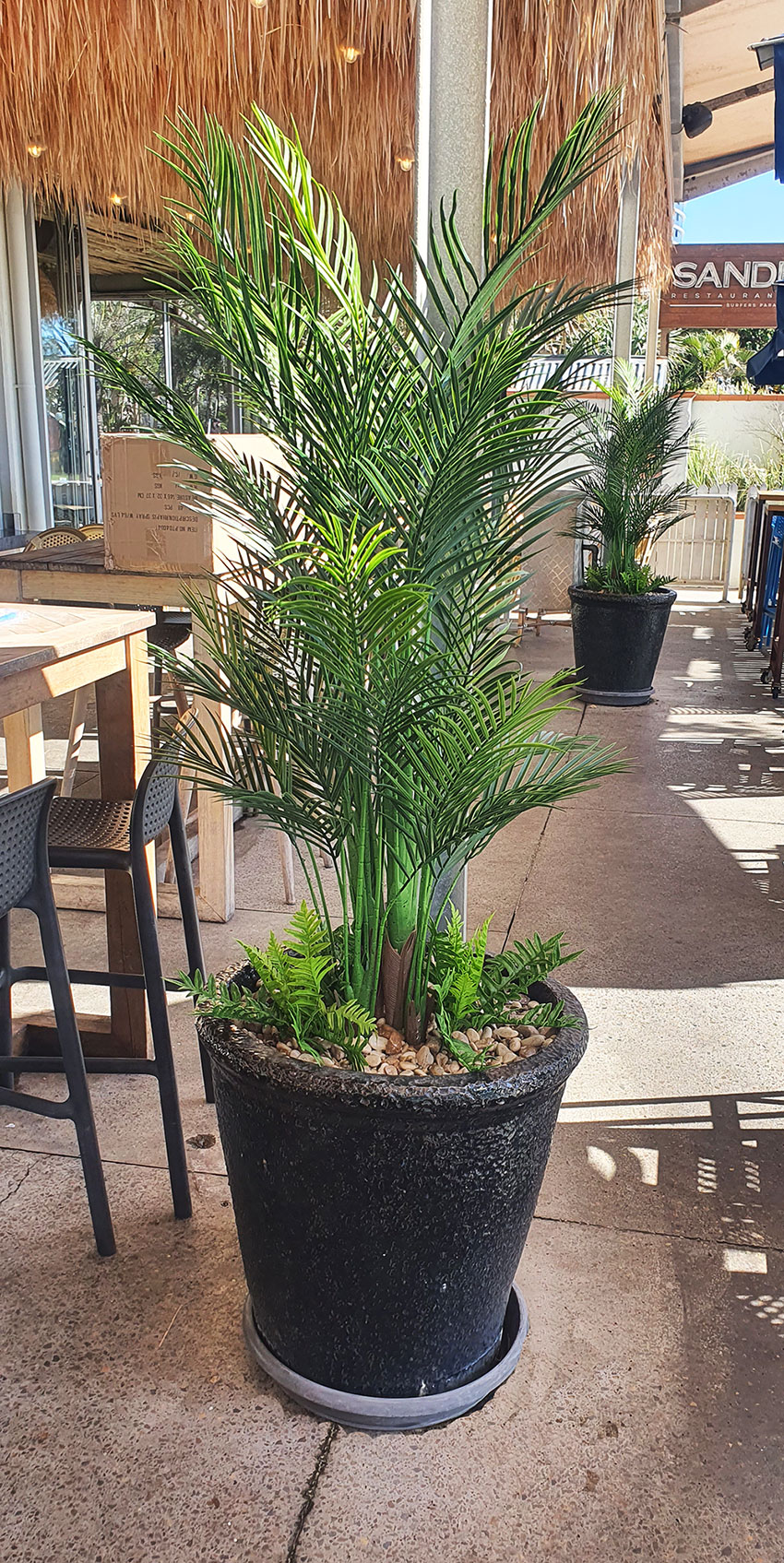 outdoor palms soften alfresco dining areas