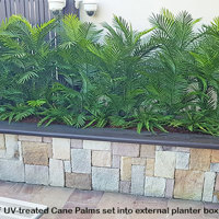 artificial Palms replace 'dead palms' in external planter... poplet image 4