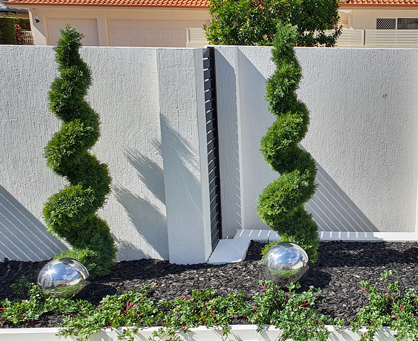 Cedar Spirals in front garden!